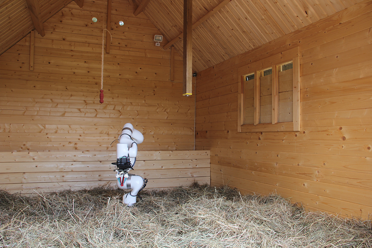 A Needle in a Haystack