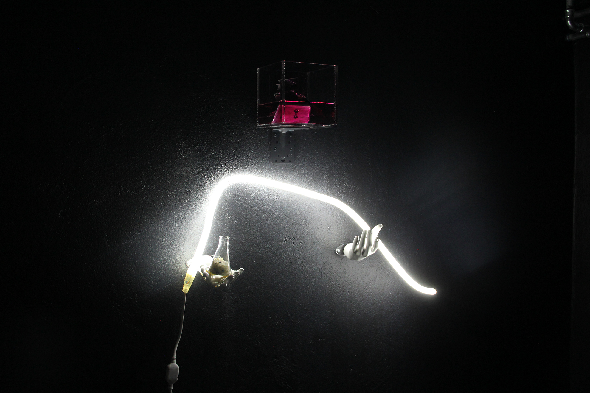 After everyone has left for Planet B