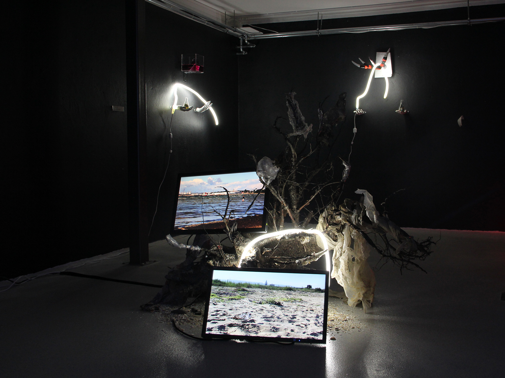 After everyone has left for Planet B