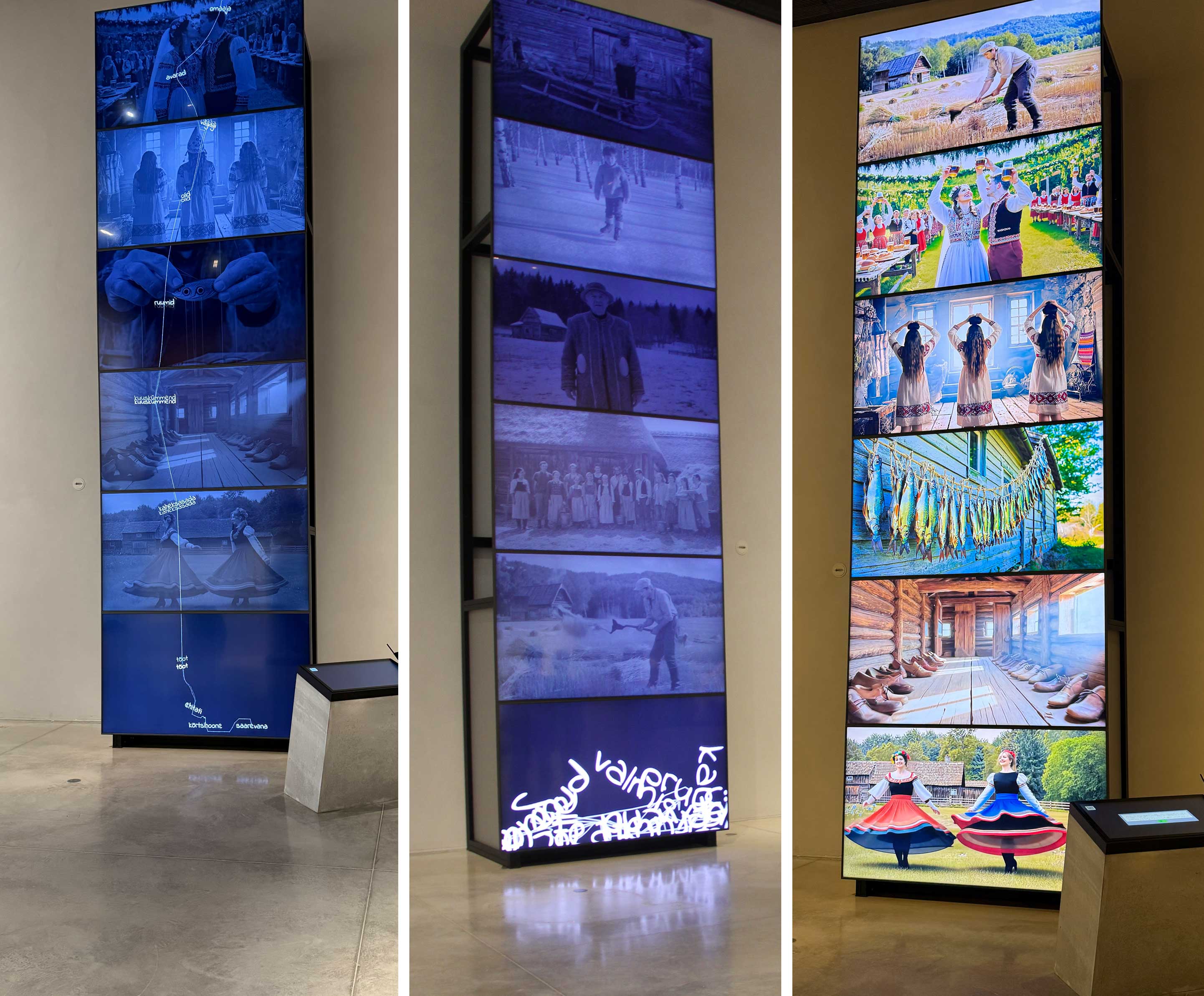 Quantum Est in Libris