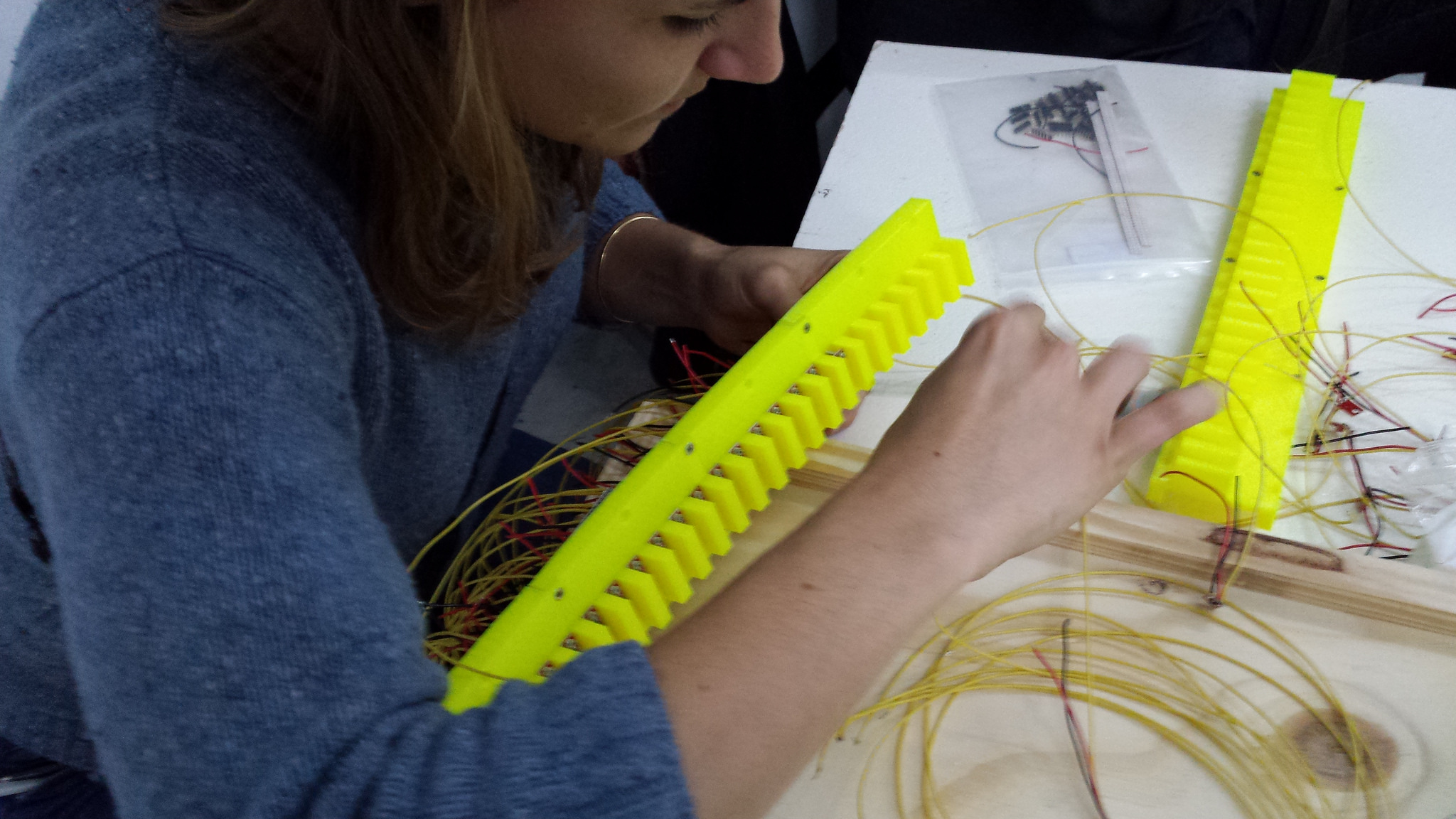 Image 2 from Urban Bees 2.0